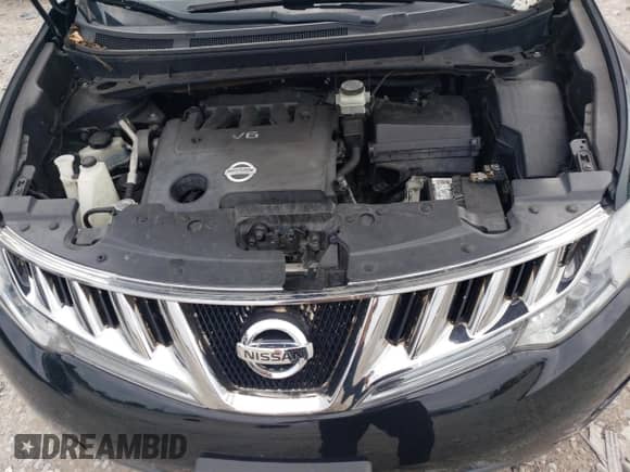 2010 Nissan Murano SL with VIN JN8AZ1MW1AW135635, listed as a Copart auction lot 81613855 with 206,707 mi miles and Salvage title. Bid and sale history available at DreamBid. Image 12.