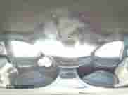 2020 Hyundai Palisade Limited с VIN KM8R5DHE1LU045831, выставлен на аукционе Copart как лот 62739784 с пробегом 56 873 миль миль и Списание • Salvage title. История ставок и продаж доступна на DreamBid. Изображение 13.