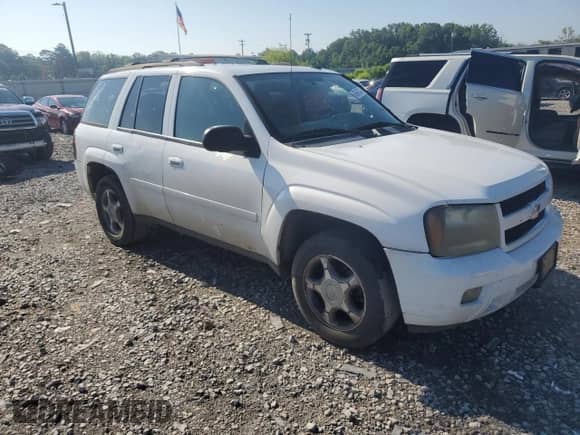 2009 Chevrolet TrailBlazer 1LT z VIN 1GNDT33S092116542, wystawiony jako Copart lot #60866784 z przebiegiem 254 686 mil mil oraz Szkoda całkowita • Salvage title. Historia ofert i sprzedaży dostępna na DreamBid. Obrazek 4.