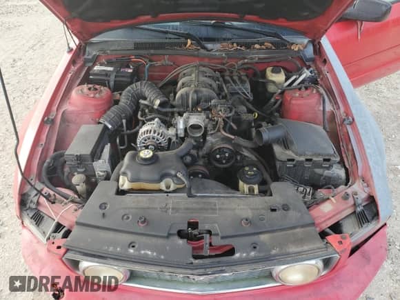 2008 Ford Mustang Deluxe with VIN 1ZVHT84N685136207, listed as a Copart auction lot 90326245 with 160,953 mi miles and Clean title. Bid and sale history available at DreamBid. Image 11.