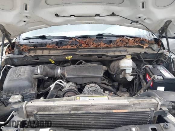 2010 Dodge 1500 TRX with VIN 1D7RB1CP4AS249736, listed as a IAAI auction lot 43203167 with 211,904 mi miles and . Bid and sale history available at DreamBid. Image 10.