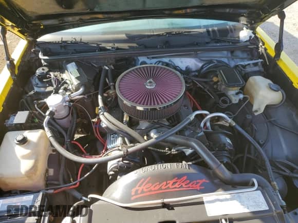 1987 Chevrolet Monte Carlo с VIN 1G1GZ11G1HP127793, выставлен на аукционе Copart как лот 75700654 с пробегом 99 478 миль миль и Списание • Salvage title. История ставок и продаж доступна на DreamBid. Изображение 11.