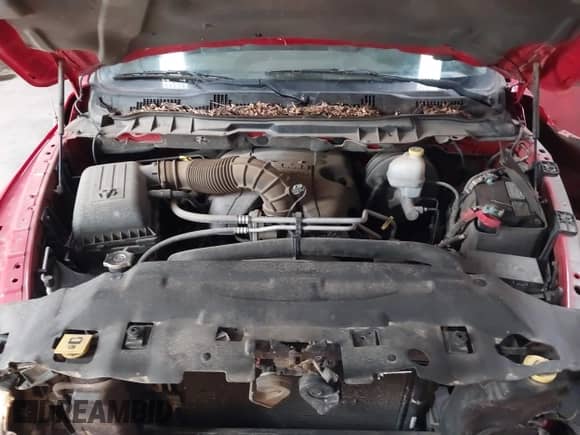 2011 Ram 1500 Big Horn with VIN 1D7RV1CT5BS620621, listed as a IAAI auction lot 40786229 with 118,179 mi miles and . Bid and sale history available at DreamBid. Image 10.