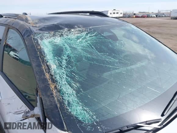 2025 Chevrolet Equinox AWD RS с VIN 3GNAXTEG9SL175108, выставлен на аукционе IAAI как лот 41839487 с пробегом 2 780 миль миль и . История ставок и продаж доступна на DreamBid. Изображение 13.