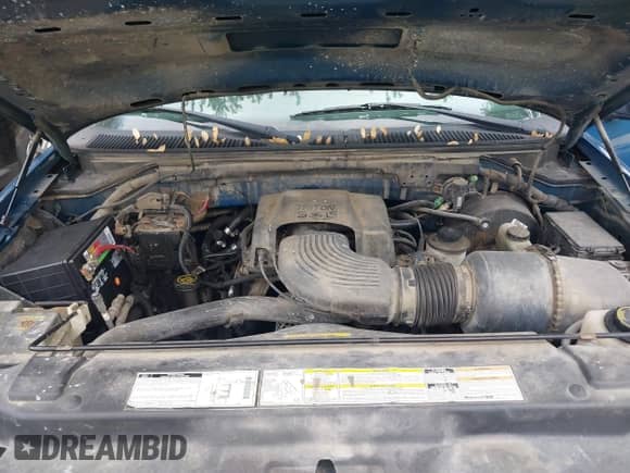 1999 Ford F-150 XL with VIN 1FTRX17L0XNC07560, listed as a IAAI auction lot 42183858 with Not provided miles and . Bid and sale history available at DreamBid. Image 10.