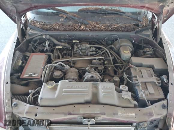 2001 Dodge Durango with VIN 1B4HS28N61F589351, listed as a IAAI auction lot 43140624 with 140,561 mi miles and . Bid and sale history available at DreamBid. Image 10.