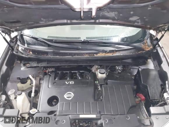 2010 Nissan Murano S with VIN JN8AZ1MW2AW127687, listed as a IAAI auction lot 42452404 with 165,033 mi miles and . Bid and sale history available at DreamBid. Image 10.