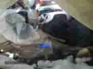 2010 Chevrolet Avalanche LS with VIN 3GNVKEE04AG221577, listed as a Copart auction lot 42421745 with Not provided miles and Salvage title. Bid and sale history available at DreamBid. Image 7.