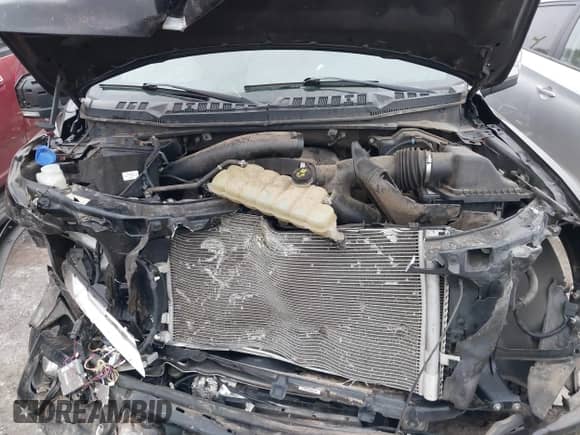 2020 Ford F-150 XLT z VIN 1FTEW1E44LFA09047, wystawiony jako IAAI lot #43394897 z przebiegiem 73 533 mil mil oraz . Historia ofert i sprzedaży dostępna na DreamBid. Obrazek 10.