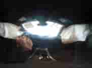 2025 Chevrolet Equinox FWD LT with VIN 3GNAXHEG9SL171461, listed as a IAAI auction lot 42763366 with 1,467 mi miles and . Bid and sale history available at DreamBid. Image 18.