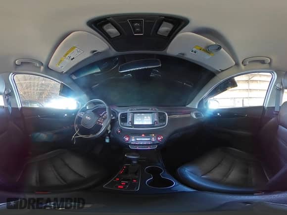 2019 Kia Sorento EX with VIN 5XYPH4A53KG452465, listed as a Copart auction lot 80783985 with 120,134 mi miles and Salvage title. Bid and sale history available at DreamBid. Image 14.