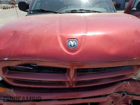 2000 Dodge Durango with VIN 1B4HS28Z1YF229742, listed as a Copart auction lot 66639875 with 116,599 mi miles and Salvage title. Bid and sale history available at DreamBid. Image 12.
