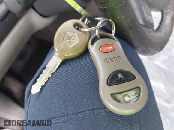 1999 Jeep Grand Cherokee Laredo с VIN 1J4G258S6XC717016, выставлен на аукционе IAAI как лот 43329768 с пробегом 239 308 миль миль и . История ставок и продаж доступна на DreamBid. Изображение 11.