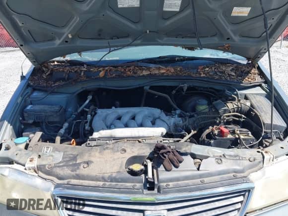 2000 Honda Odyssey EX с VIN 2HKRL1866YH577661, выставлен на аукционе IAAI как лот 43190108 с пробегом Не указан миль и . История ставок и продаж доступна на DreamBid. Изображение 10.