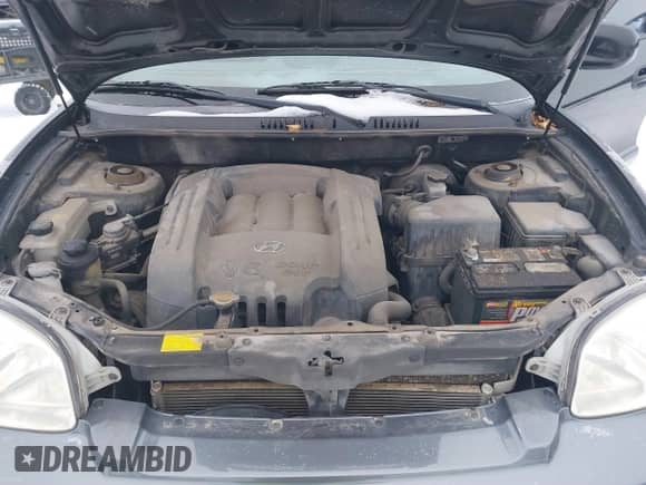 2003 Hyundai Santa Fe GLS z VIN KM8SC73D13U360684, wystawiony jako IAAI lot #41489092 z przebiegiem 108 721 mil mil oraz . Historia ofert i sprzedaży dostępna na DreamBid. Obrazek 10.