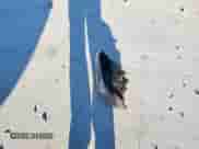 2014 Ram 1500 Sport with VIN 1C6RR7MT4ES276291, listed as a Copart auction lot 65761775 with Not provided miles and Salvage title. Bid and sale history available at DreamBid. Image 12.