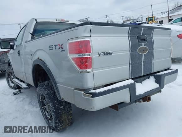 2009 Ford F-150 XL with VIN 1FTRF14W49KB67005, listed as a IAAI auction lot 41623967 with 197,731 mi miles and . Bid and sale history available at DreamBid. Image 3.