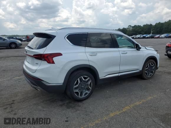 2021 Hyundai Santa Fe Limited with VIN 5NMS44AL1MH319250, listed as a Copart auction lot 69960875 with 42,851 mi miles and Salvage title. Bid and sale history available at DreamBid. Image 3.
