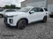 2025 Hyundai Palisade XRT with VIN KM8R3DGE3SU863535, listed as a Copart auction lot 55251395 with 3,165 mi miles and Salvage title. Bid and sale history available at DreamBid. Image 1.