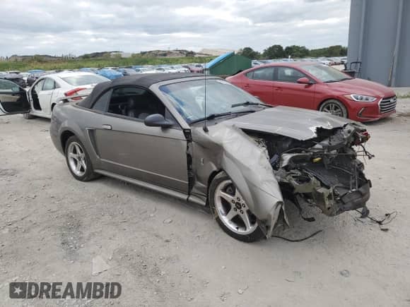 2001 Ford Mustang SVT Cobra with VIN 1FAFP46V51F233537, listed as a Copart auction lot 81497604 with Not provided miles and Salvage title. Bid and sale history available at DreamBid. Image 4.