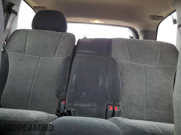 2002 Chevrolet TrailBlazer LS with VIN 1GNDT13S022242068, listed as a Copart auction lot 47485035 with 217,407 mi miles and Salvage title. Bid and sale history available at DreamBid. Image 10.