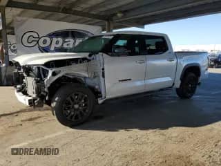 2025 Toyota Tundra SR5 with VIN 5TFWA5DB1SX284295, listed as a Copart auction lot 69303525 with 6,728 mi miles and Salvage title. Bid and sale history available at DreamBid. Image 1.