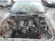 2004 Ford Mustang Standard with VIN 1FAFP40464F125870, listed as a IAAI auction lot 43501805 with Not provided miles and . Bid and sale history available at DreamBid. Image 10.