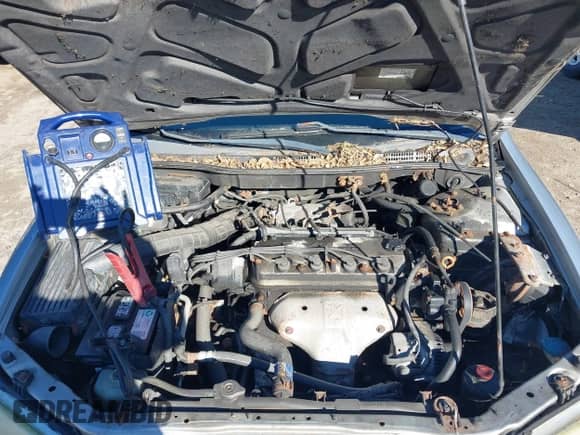 2002 Honda Accord LX with VIN JHMCG56482C010016, listed as a IAAI auction lot 43534866 with 250,325 mi miles and . Bid and sale history available at DreamBid. Image 10.