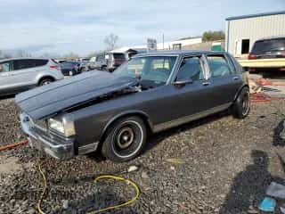 1989 Chevrolet Caprice с VIN 1G1BU51E2KR185955, выставлен на аукционе Copart как лот 43144495 с пробегом 54 662 миль миль и Чистый • Clean title. История ставок и продаж доступна на DreamBid. Изображение 1.