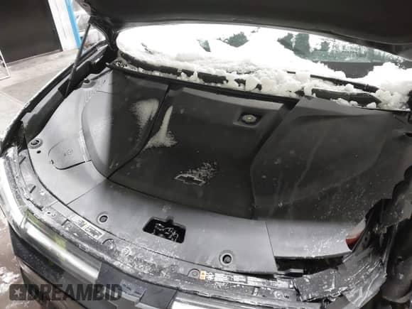 2024 Chevrolet Blazer EV eAWD RS z VIN 3GNKDCRJ9RS171871, wystawiony jako IAAI lot #41325892 z przebiegiem 3 327 mil mil oraz . Historia ofert i sprzedaży dostępna na DreamBid. Obrazek 10.