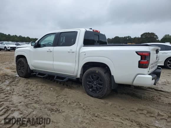 2023 Nissan Frontier SV with VIN 1N6ED1EK8PN640719, listed as a Copart auction lot 81182095 with 30,965 mi miles and Salvage title. Bid and sale history available at DreamBid. Image 2.
