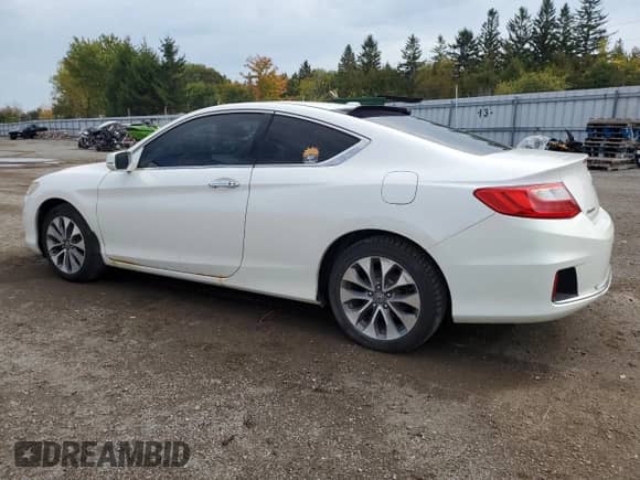 2013 Honda Accord с VIN 1HGCT1A86DA801810, выставлен на аукционе Copart как лот 82053695 с пробегом 242 027 миль миль и Чистый • Clean title. История ставок и продаж доступна на DreamBid. Изображение 2.