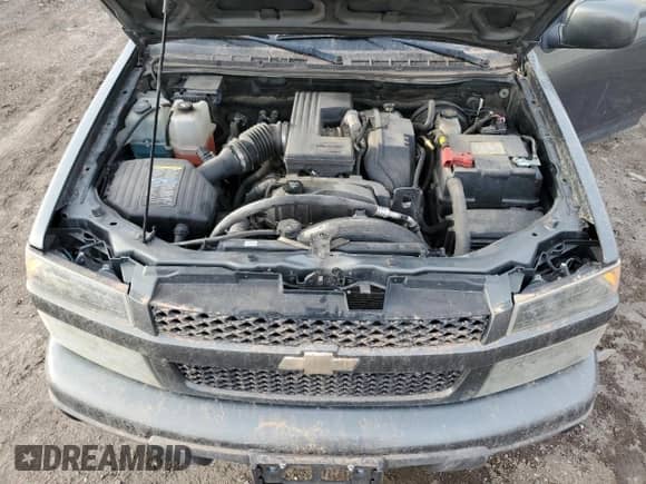 2010 Chevrolet Colorado 1LT with VIN 1GCESCDEXA8131429, listed as a Copart auction lot 49229245 with 171,915 mi miles and Clean title. Bid and sale history available at DreamBid. Image 11.