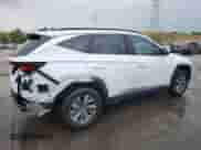 2024 Hyundai Tucson Blue с VIN KM8JBCD17RU233099, выставлен на аукционе Copart как лот 70289065 с пробегом 8 895 миль миль и Списание • Salvage title. История ставок и продаж доступна на DreamBid. Изображение 3.