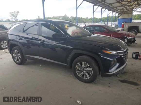 2022 Hyundai Tucson Blue with VIN KM8JBCA14NU018875, listed as a Copart auction lot 67028315 with 273,692 mi miles and Clean title. Bid and sale history available at DreamBid. Image 4.