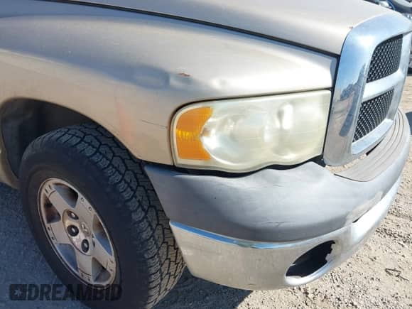 2002 Dodge 1500 z VIN 1D7HA16K92J172190, wystawiony jako IAAI lot #40848291 z przebiegiem 222 179 mil mil oraz . Historia ofert i sprzedaży dostępna na DreamBid. Obrazek 16.