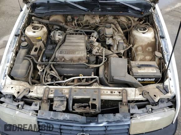 1993 Chevrolet Corsica LT с VIN 1G1LT53T4PY262289, выставлен на аукционе Copart как лот 81687643 с пробегом 236 597 миль миль и Чистый • Clean title. История ставок и продаж доступна на DreamBid. Изображение 11.