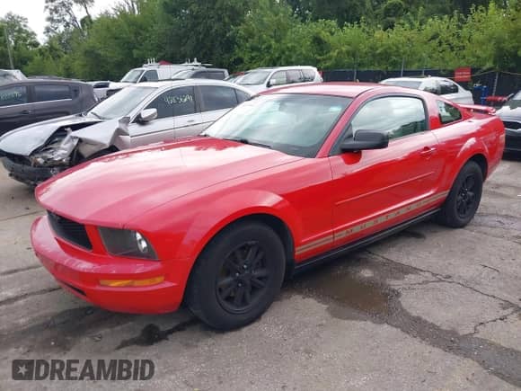 2005 Ford Mustang Deluxe с VIN 1ZVFT80N355177998, выставлен на аукционе IAAI как лот 42837004 с пробегом 140 443 миль миль и . История ставок и продаж доступна на DreamBid. Изображение 17.
