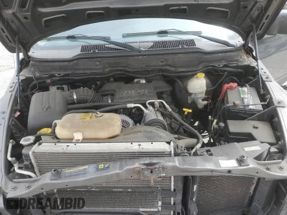 2004 Dodge 1500 SLT z VIN 1D7HU18D64J206045, wystawiony jako Copart lot #69097234 z przebiegiem 126 140 mil mil oraz Szkoda całkowita • Salvage title. Historia ofert i sprzedaży dostępna na DreamBid. Obrazek 13.