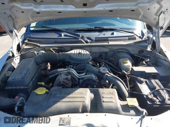 2001 Dodge Dakota with VIN 1B7GL22X21S121968, listed as a IAAI auction lot 43317250 with 163,485 mi miles and . Bid and sale history available at DreamBid. Image 10.