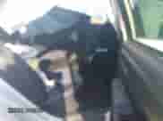 2016 Toyota Camry LE с VIN 4T1BF1FK0GU166104, выставлен на аукционе IAAI как лот 42978927 с пробегом 203 406 миль миль и . История ставок и продаж доступна на DreamBid. Изображение 8.