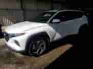 2024 Hyundai Tucson SEL with VIN 5NMJBCDE3RH424694, listed as a Copart auction lot 85830195 with 24,239 mi miles and Salvage title. Bid and sale history available at DreamBid. Image 1.