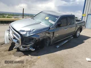 2009 Dodge 1500 Laramie with VIN 1D3HV13T09J505079, listed as a Copart auction lot 59685915 with Not provided miles and Salvage title. Bid and sale history available at DreamBid. Image 1.