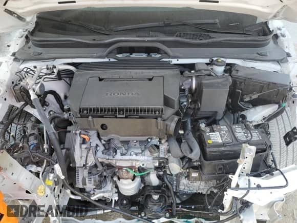 2024 Honda Pilot EX-L with VIN 5FNYG2H55RB001346, listed as a Copart auction lot 61262575 with 12,523 mi miles and Salvage title. Bid and sale history available at DreamBid. Image 12.