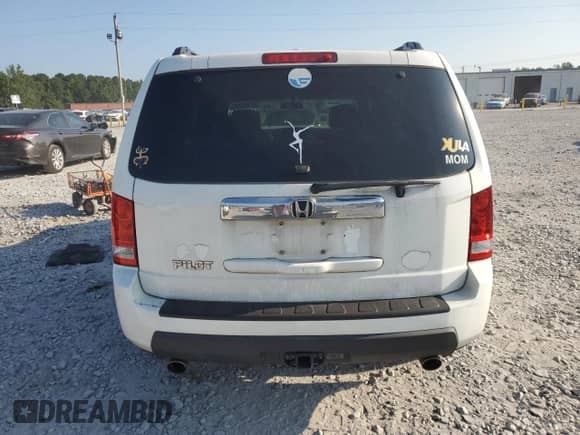 2010 Honda Pilot EX with VIN 5FNYF3H4XAB012816, listed as a Copart auction lot 67298095 with 249,990 mi miles and Salvage title. Bid and sale history available at DreamBid. Image 6.