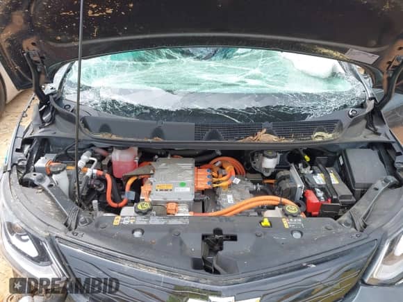 2020 Chevrolet Bolt EV Premier with VIN 1G1FZ6S08L4119923, listed as a IAAI auction lot 42016086 with Not provided miles and . Bid and sale history available at DreamBid. Image 10.