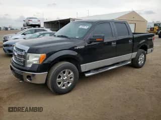 2014 Ford F-150 XL с VIN 1FTFW1EF8EFC91105, выставлен на аукционе Copart как лот 70248775 с пробегом 149 297 миль миль и Чистый • Clean title. История ставок и продаж доступна на DreamBid. Изображение 1.