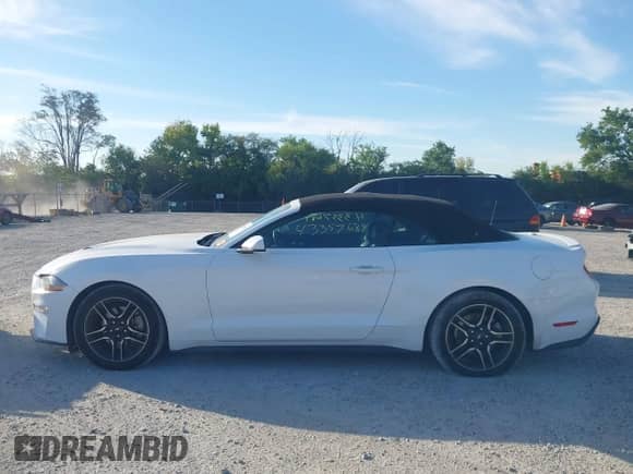 2023 Ford Mustang EcoBoost with VIN 1FATP8UH4P5105036, listed as a IAAI auction lot 43357689 with 61,296 mi miles and . Bid and sale history available at DreamBid. Image 14.