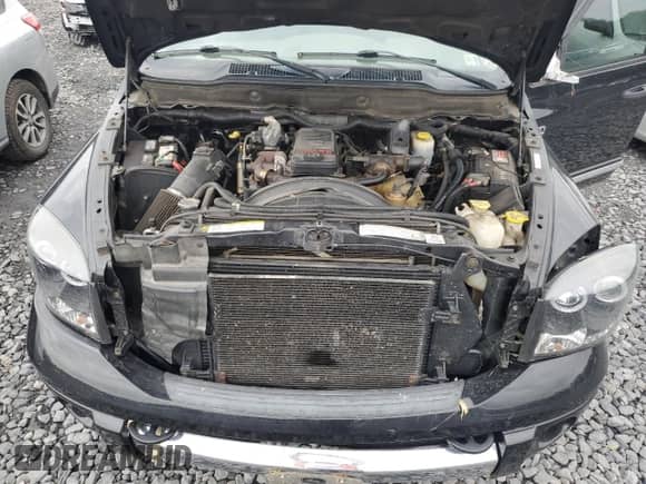 2009 Dodge RAM with VIN 3D3MX48L29G545944, listed as a Copart auction lot 80945355 with 110,299 mi miles and Salvage title. Bid and sale history available at DreamBid. Image 11.