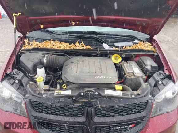 2018 Dodge Grand Caravan SE Plus с VIN 2C4RDGBG4JR152644, выставлен на аукционе IAAI как лот 41817835 с пробегом 103 222 миль миль и . История ставок и продаж доступна на DreamBid. Изображение 10.